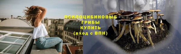 бутират Алзамай
