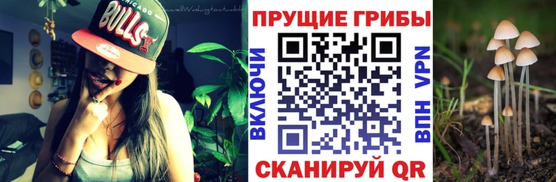 Галлюциногенные грибы прущие грибы  наркота  Ликино-Дулёво 
